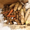 【作り置きおかず(64)】～週末に作る我が家の作り置きおかず｜雪の下から材料調達
