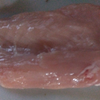 世界で一番安い焼肉。