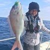 2019-02-12マタウ号の釣果