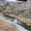 2月3日(月)秩父フライフィールドの河川情報