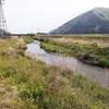 4月後半キス釣りの帰りに大川で小鮎調査。