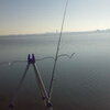 谷中湖ワカサギ釣行