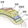 手術に際して質問したこと…脳みそ。