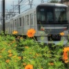 初秋の東武STラインの撮影(メル編)