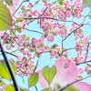 臨床と生活にいかす操体法（三日目）