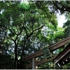 大神神社写真館（５/１０）