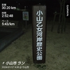 【思川サイクリングロード】30キロ走（東京マラソン対策3回目）