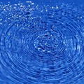 学ぶということ、伝えるということ──息子との対話から