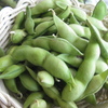 丹波篠山デカンショ豆を買い出しに