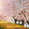こども達に！…親の方にも🙇