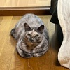 たまには愚痴でも