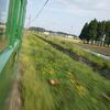 緑の電車の窓から