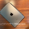 ちょうどいいサイズ感、ipad mini5を購入したお話