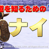 【ナイトの取扱説明書①】騎士道を知るためのTips