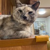 ああ、あれに出てた人だ！という瞬間