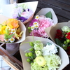 DAILY FLOWERS !!
