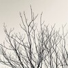 部屋の片付けが終わらない