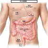 ごはん食べよう科 臨床講座 第5回 食欲(4)