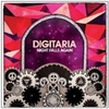  Digitaria / Night Falls Again