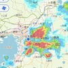 育成クラス 2〜6年生の皆様へ