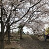 公園まで散歩