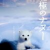 「北極のナヌー」　2007