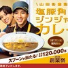 【懸賞情報】カレーハウスCoCo壱番屋 創業祭2025 オリジナルスプーンキャンペーン