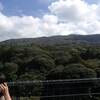 歩く（野増）