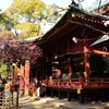 ⛩️東京 根津神社に行ってきました😊