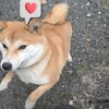 夜明けまえのエスパルス2025