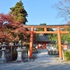 吉田神社の紅葉、見頃や現在の状況。