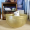 くまちゃんのおたのしみ