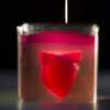 世界初「３Dプリンター」によって心臓が作られる