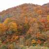 11月3日～4日で帰省（新潟県）／紅葉