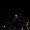 練習ログ　2/14-19