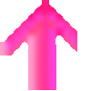 ウィーク締め