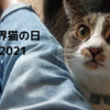 今日も変わらずねこを愛でる。【世界猫の日2021】