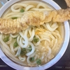 かけ中ゲソ天、うつ海うどん。