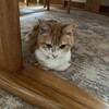 元気をだして