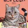 【新刊案内】出る本、出た本、気になる新刊！角田光代・小池壮太「ねこがしんぱい」！猫好きの角田さんがどんな物語を書いたのか興味津々！（2025.10/3週）