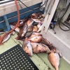 ６/５（土）