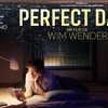 この映画を千切って捨てたい。『PERFECT DAYS』