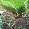 深化する「おことば」