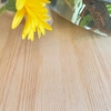 ガーベラを愛でるハルコ先生🌼💛💕