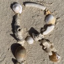 気ままにハッピー