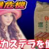 食糧危機に備えて「オーガニック小麦の蜂蜜カステラ」を備蓄w#ノースカラーズ #カステラ #お菓子 #蜂蜜 #美味い #美味しい #甘い #おいしい #うまい #オーガニック #無添加 #おやつ