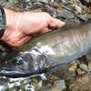 紙一重の秋の釣り
