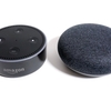 Amazon Echo Dot と Google Home Mini を両方買った