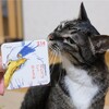 君たちはどう生きるか