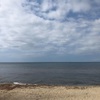 海に面している田舎の風景